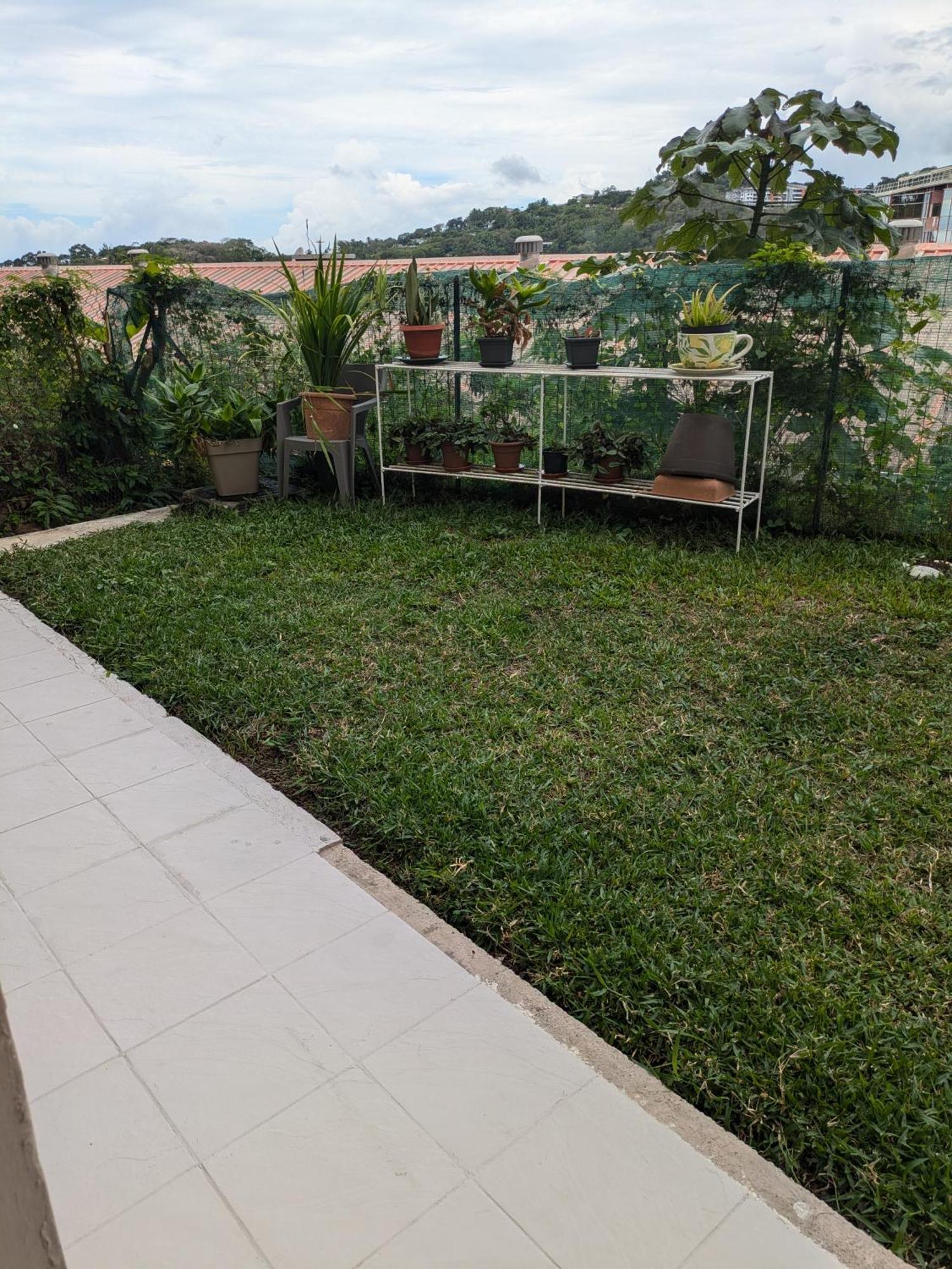 N'Jok Papeete Appartement Papeete  Buitenkant foto